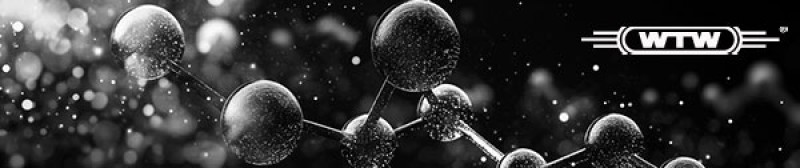 banner_WTW_01